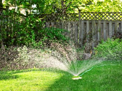 How To Keep Your Lawn Healthy While Conserving Water