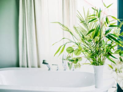 Breathe New Life Into Your Home With A Stylish Houseplant